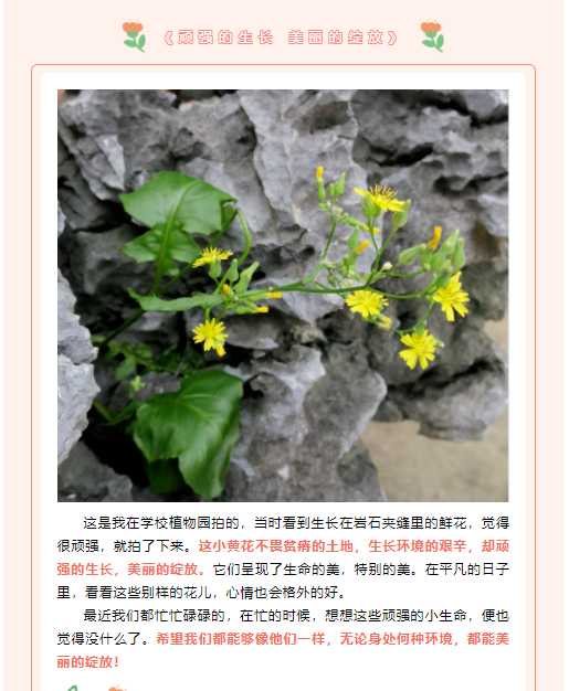 一等奖作品 一等奖作品