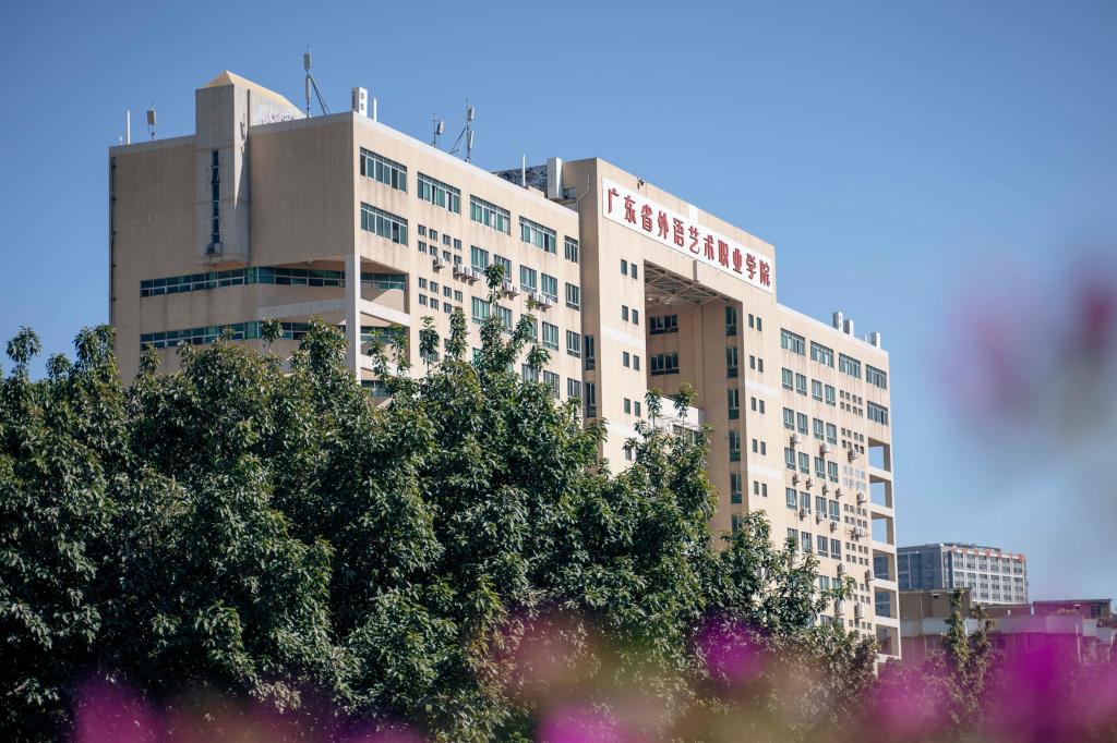 金鼎娱乐最新官方网址