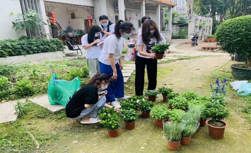 f6af39027306adc6320e0bf73f3c4dc