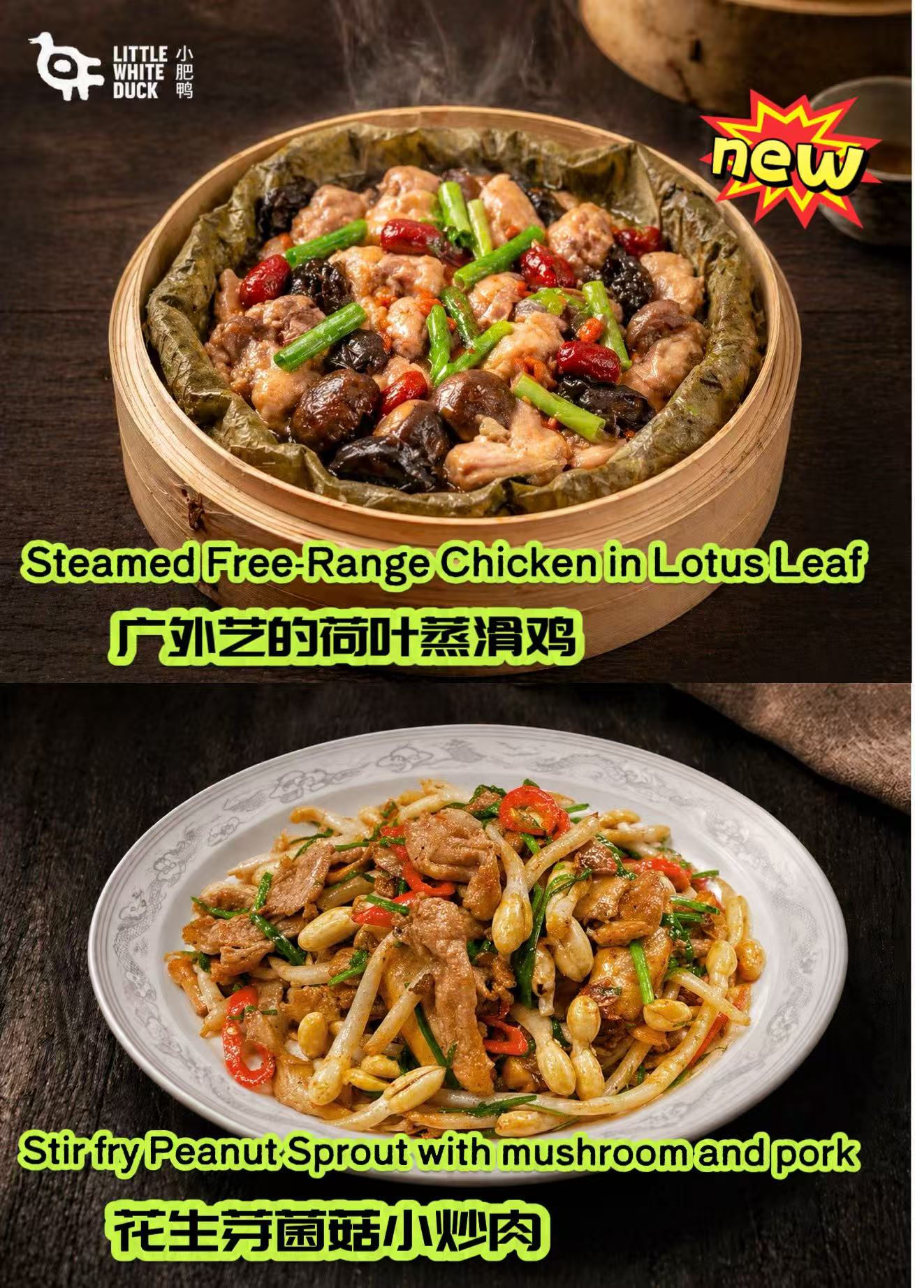 金鼎娱乐最新官方网址