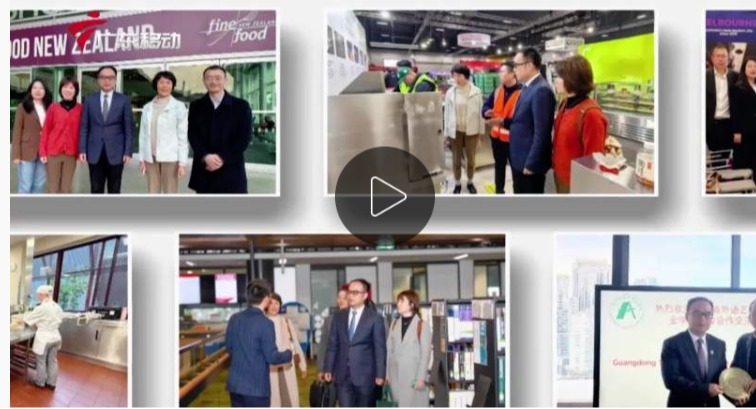 金鼎娱乐最新官方网址